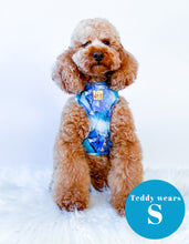 Load image into Gallery viewer, Agate Deluxe Four Piece Walkies Bundle - Save £25
