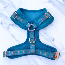 Load image into Gallery viewer, Teal Diamond Deluxe Quilted Adjustable Harness &amp; Lead Bundle
