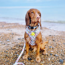 Load image into Gallery viewer, Ice Ice Doggy Adjustable Harness &amp; Lead Bundle
