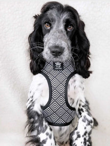 Art Doggo Reversible Harness