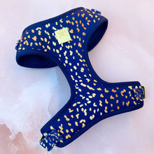 Load image into Gallery viewer, Golden Confetti Deluxe Adjustable Harness
