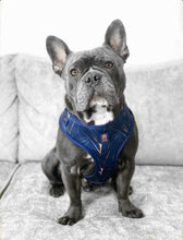 Load image into Gallery viewer, Midnight Palm Deluxe Adjustable Harness
