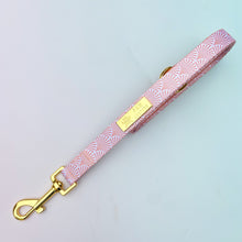 Load image into Gallery viewer, Malibu Sunset Deluxe Vegan Leather Adjustable Harness &amp; Lead Bundle
