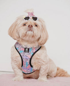 Bark of Art Adjustable Harness & Lead Bundle
