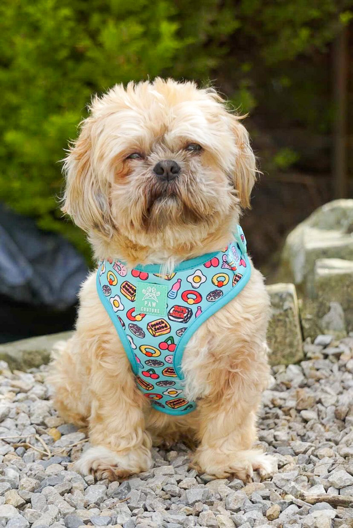 Pup 'n' Mix Adjustable Harness