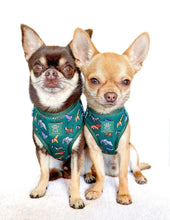 Load image into Gallery viewer, Origami Safari Five Piece Walkies Bundle - Save £25
