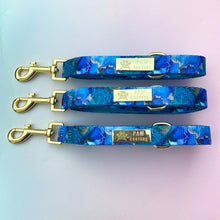 Load image into Gallery viewer, Agate Deluxe Lead

