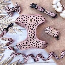 Load image into Gallery viewer, Nude &amp; Wild Collar
