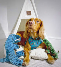 Load image into Gallery viewer, Origamisaur Five Piece Walkies Bundle - Save £25
