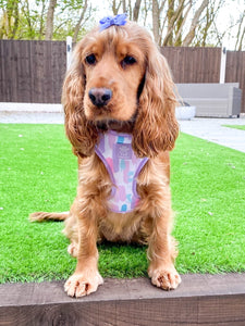 Pawcasso Adjustable Harness & Lead Bundle