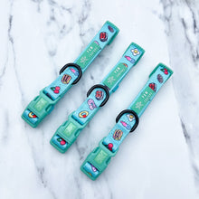 Load image into Gallery viewer, Pup &#39;n&#39; Mix - Collar &amp; Lead Bundle
