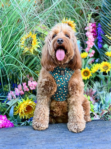 Emerald Safari Deluxe Five Piece Walkies Bundle - Save £25