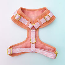 Load image into Gallery viewer, Malibu Sunset Vegan Leather Deluxe Five Piece Walkies Bundle - Save £25
