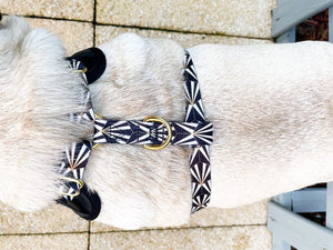 Opulence Deluxe Vegan Leather Adjustable Harness & Lead Bundle
