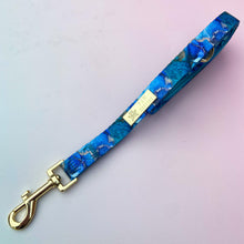 Load image into Gallery viewer, Agate Deluxe Lead
