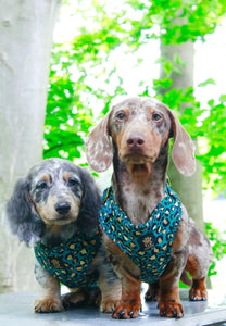 Emerald Safari Deluxe Five Piece Walkies Bundle - Save £25