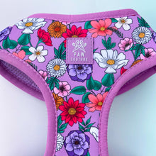 Load image into Gallery viewer, Blossom Adjustable Harness &amp; Lead Bundle
