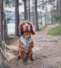Load image into Gallery viewer, Adventure Bound Adjustable Harness
