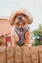 Load image into Gallery viewer, Onyx Jungle Five Piece Walkies Bundle - Save £25
