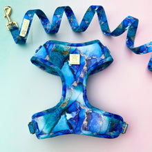 Load image into Gallery viewer, Agate Deluxe Adjustable Harness &amp; Lead Bundle
