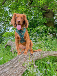 Emerald Safari Deluxe Adjustable Harness