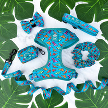 Load image into Gallery viewer, Origamisaur Five Piece Walkies Bundle - Save £25
