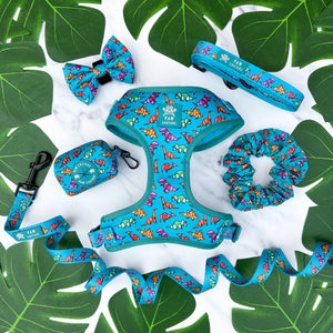 Origamisaur Five Piece Walkies Bundle - Save £25