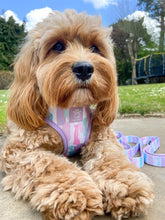 Load image into Gallery viewer, Pawcasso Adjustable Harness &amp; Lead Bundle
