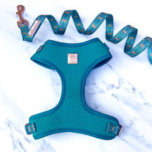 Load image into Gallery viewer, Teal Diamond Deluxe Quilted Adjustable Harness &amp; Lead Bundle
