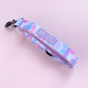 Pawcasso - Collar & Lead Bundle