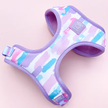 Load image into Gallery viewer, Pawcasso Four Piece Walkies Bundle - Save £25
