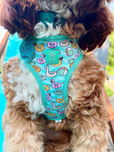 Load image into Gallery viewer, Pool Pawty Adjustable Harness
