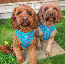 Load image into Gallery viewer, Origamisaur Five Piece Walkies Bundle - Save £25
