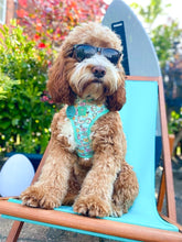 Load image into Gallery viewer, Pool Pawty Adjustable Harness
