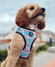 Load image into Gallery viewer, Bark of Art Adjustable Harness
