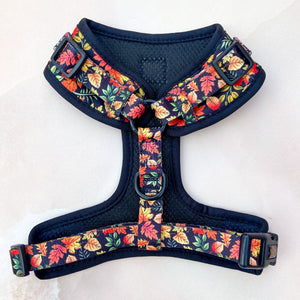 *DESPATCHES W/C 2ND OCT* Changing Seasons Adjustable Harness