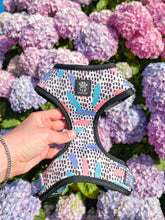 Load image into Gallery viewer, Bark of Art Adjustable Harness &amp; Lead Bundle
