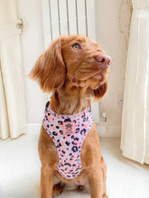 Load image into Gallery viewer, Blush Safari Adjustable Harness &amp; Lead Bundle
