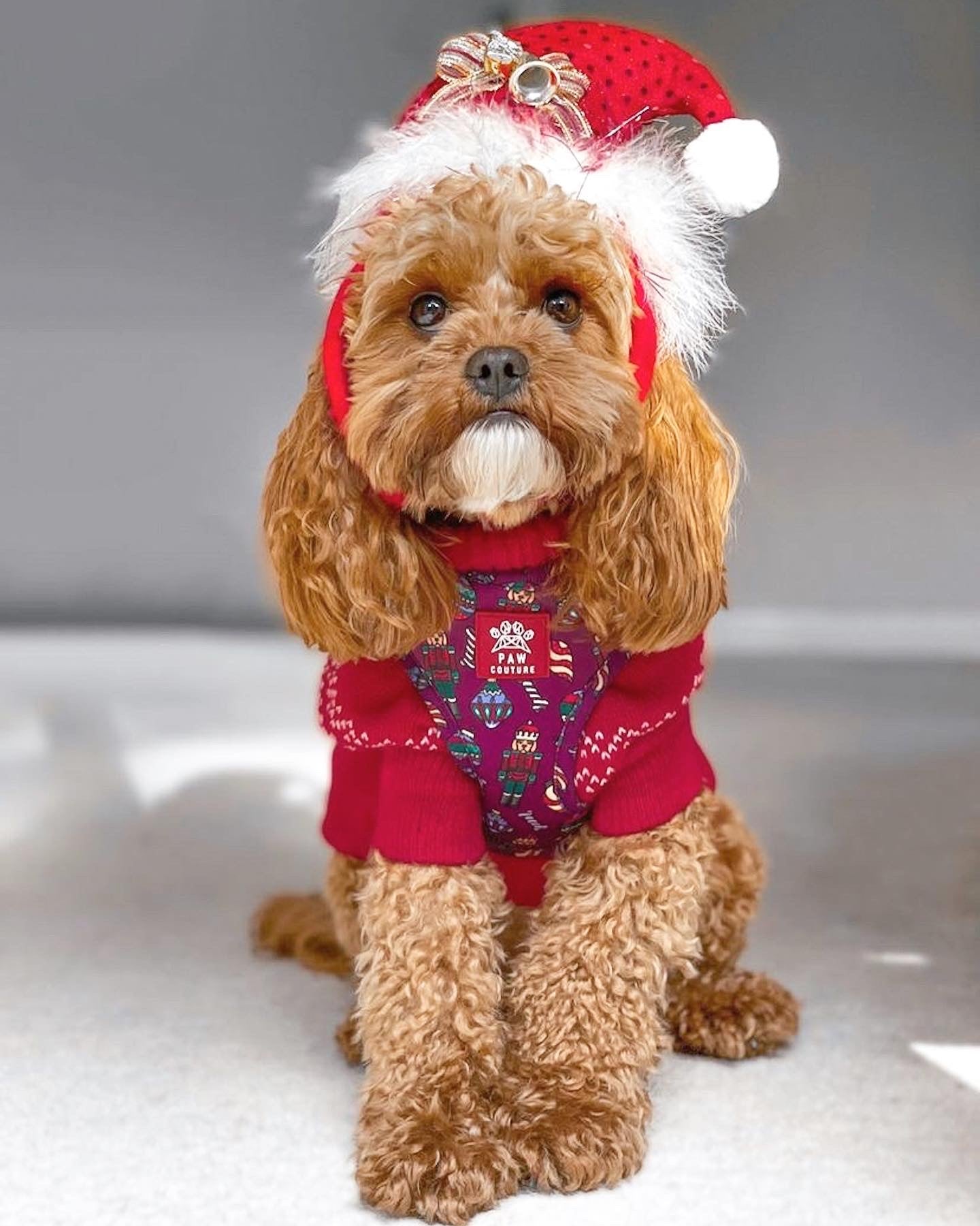 Christmas Pawbles Adjustable Harness