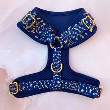 Load image into Gallery viewer, Golden Confetti Deluxe Adjustable Harness
