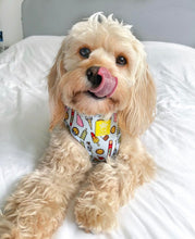 Load image into Gallery viewer, Ice Ice Doggy Adjustable Harness &amp; Lead Bundle
