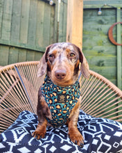 Load image into Gallery viewer, Emerald Safari Deluxe Five Piece Walkies Bundle - Save £25
