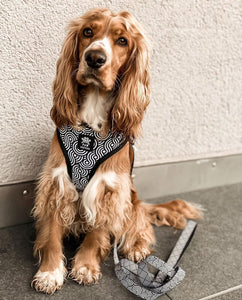 Art Doggo Reversible Harness