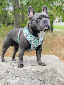 Adventure Bound Adjustable Harness