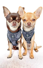 Load image into Gallery viewer, Onyx Jungle Five Piece Walkies Bundle - Save £25
