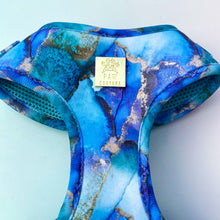 Load image into Gallery viewer, Agate Deluxe Adjustable Harness &amp; Lead Bundle
