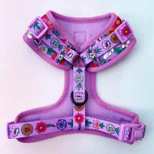 Blossom Adjustable Harness & Lead Bundle