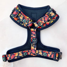 Load image into Gallery viewer, *DESPATCHES W/C 2ND OCT* Changing Seasons Adjustable Harness &amp; Lead Bundle
