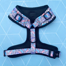 Load image into Gallery viewer, Bark of Art Adjustable Harness &amp; Lead Bundle
