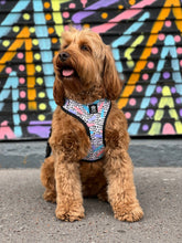 Load image into Gallery viewer, Bark of Art Adjustable Harness &amp; Lead Bundle
